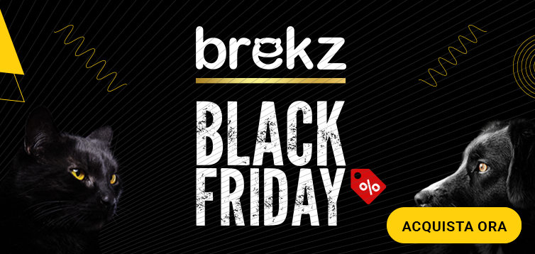 Black Friday main banner